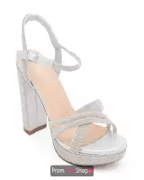 Silver Shimmer